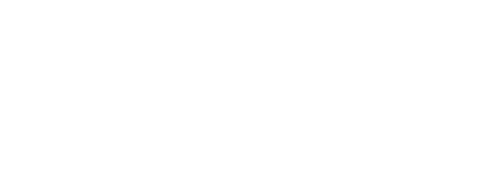 logo of Metrikus